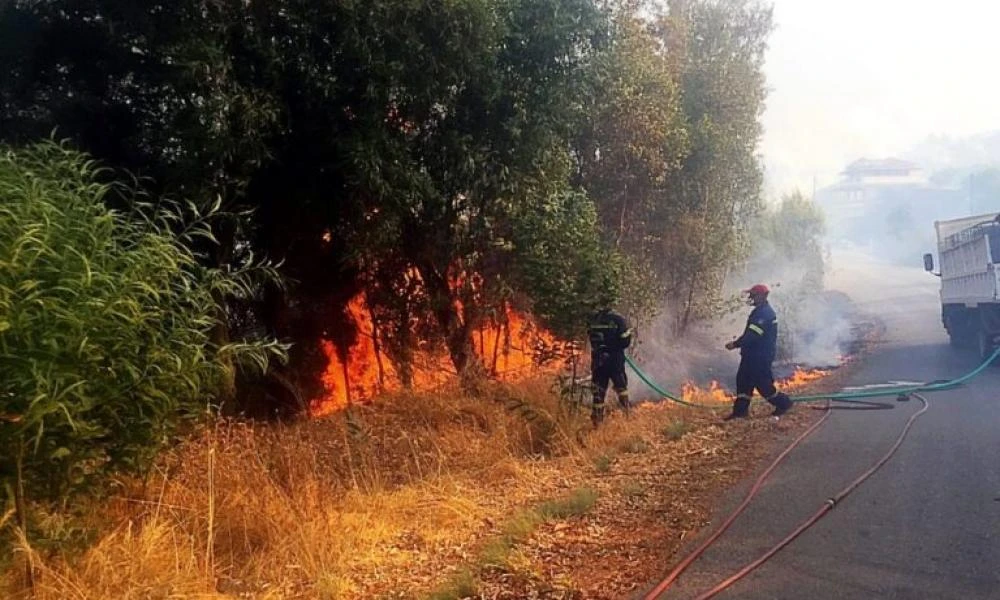 Σέρρες: Οριοθετήθηκε η πυρκαγιά